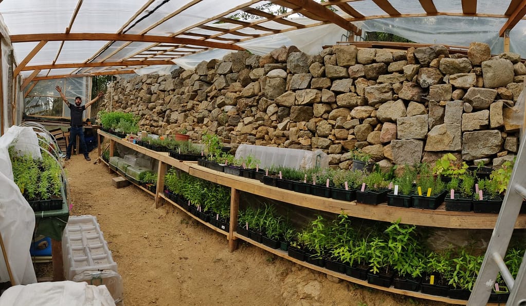 IMG_20241001_153100-scaled