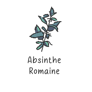 Absinthe Romaine - 20g