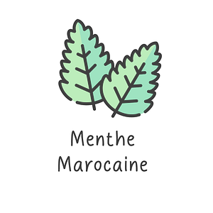 Menthe Marocaine - 10g