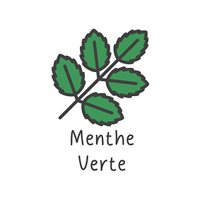 Menthe Verte - 10g